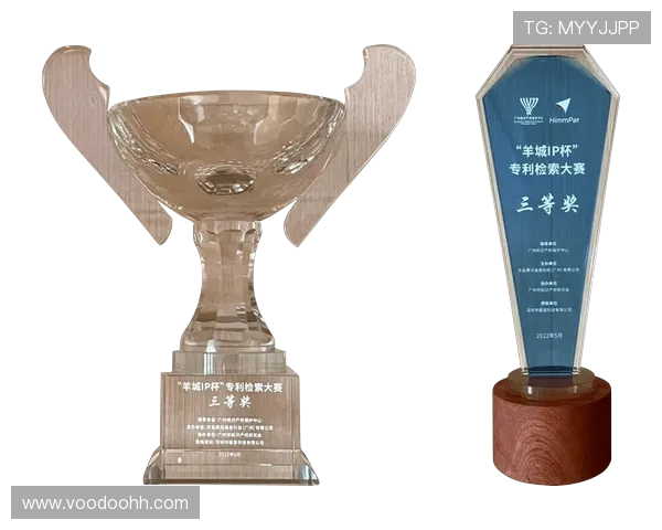 个人奖项与团队成绩:莱奥的生涯成就 个人奖项与团队成绩:莱奥的生涯成就