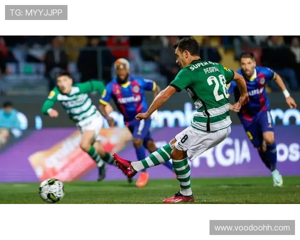 帕利尼亚：从葡超主力到英超重金引援的生涯跃迁